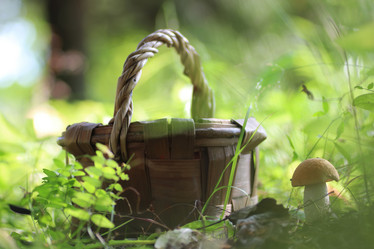 Similar image 12696685