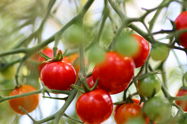 Similar image 12696829