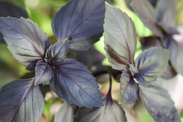 Similar image 12696869