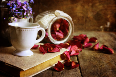 Similar image 12696950