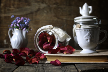 Similar image 12696990