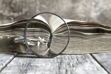 Similar image 12697554