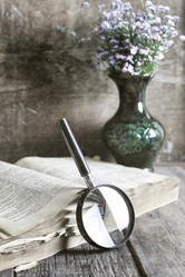 Similar image 12981127