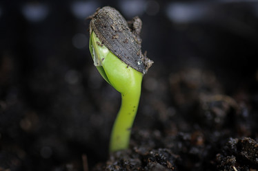 Similar image 12696627