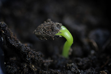 Similar image 12696647