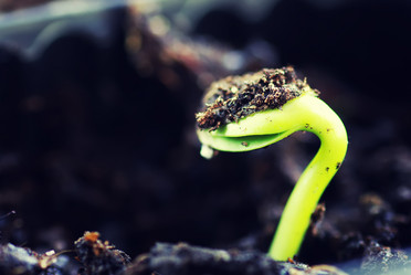 Similar image 12696665