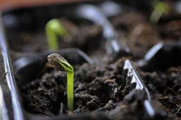 Similar image 12696687