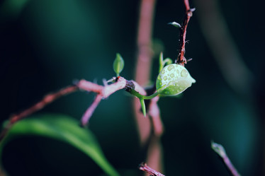 Similar image 12696810