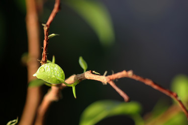 Similar image 12696883