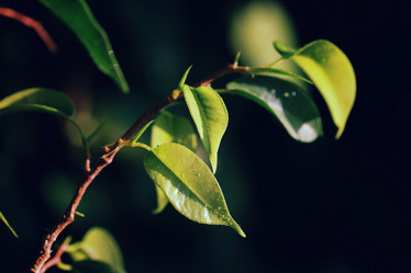 Similar image 12696974