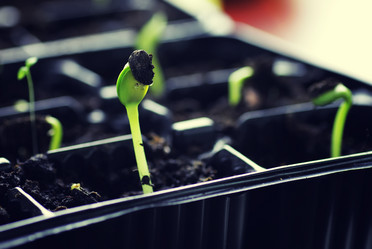 Similar image 12997673