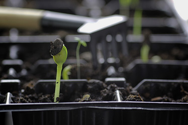 Similar image 12997694