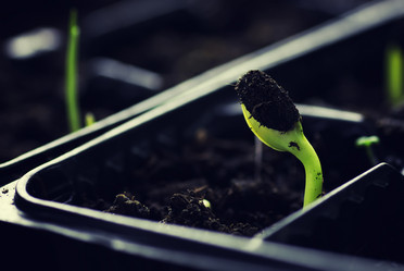 Similar image 12999522