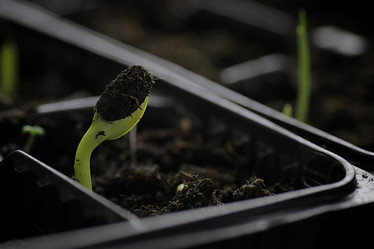 Similar image 12999426