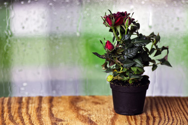 Similar image 12999644