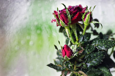 Similar image 12999767