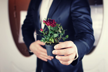 Similar image 12997534