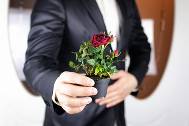 Similar image 12997554