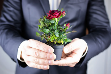 Similar image 12997596