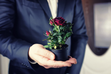 Similar image 12997634