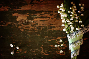 Similar image 12697513