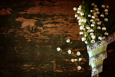 Similar image 12697532