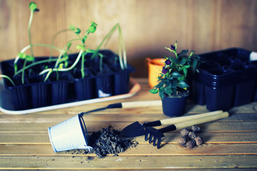 Similar image 12981109