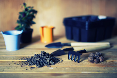 Similar image 12981129