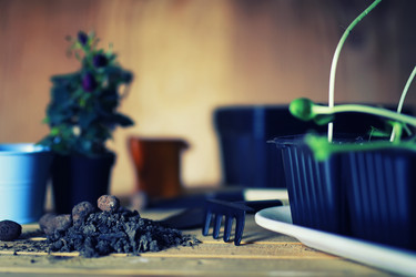 Similar image 12981187