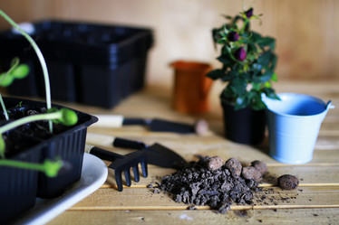 Similar image 12981188