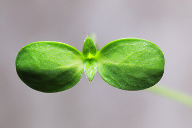 Similar image 12997535