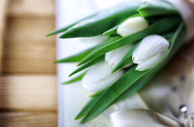 Similar image 12697574