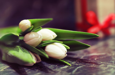 Similar image 12697832