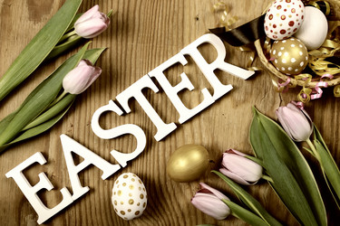 Similar image 12696979