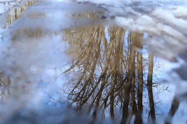 Similar image 12981130