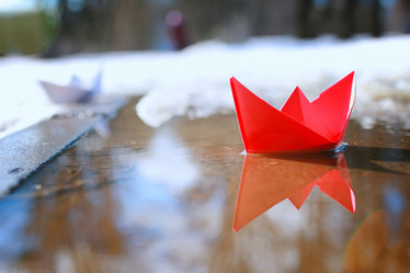 Similar image 12981192