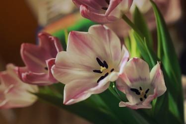 Similar image 12997655