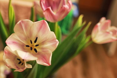 Similar image 12997676