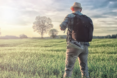 Similar image 12697795