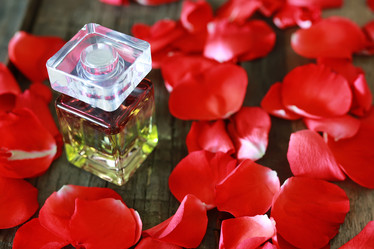 Similar image 12697726