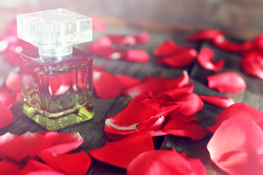 Similar image 12981152