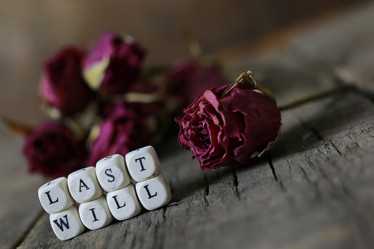 Similar image 12697205