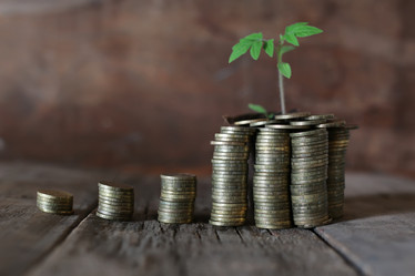 Similar image 12697759