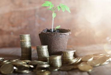 Similar image 12980763