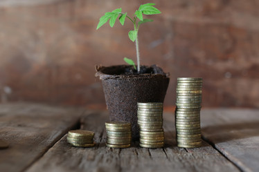 Similar image 12980784