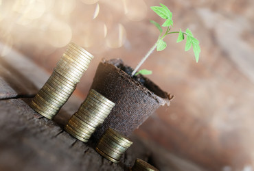 Similar image 12980785