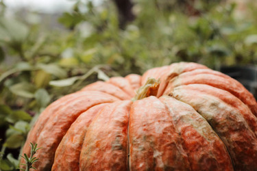 Similar image 12987177