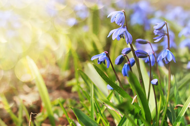 Similar image 12997581