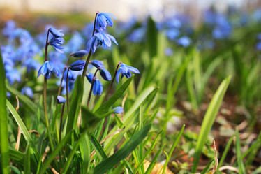 Similar image 12997615