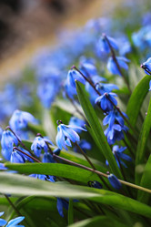 Similar image 12997696